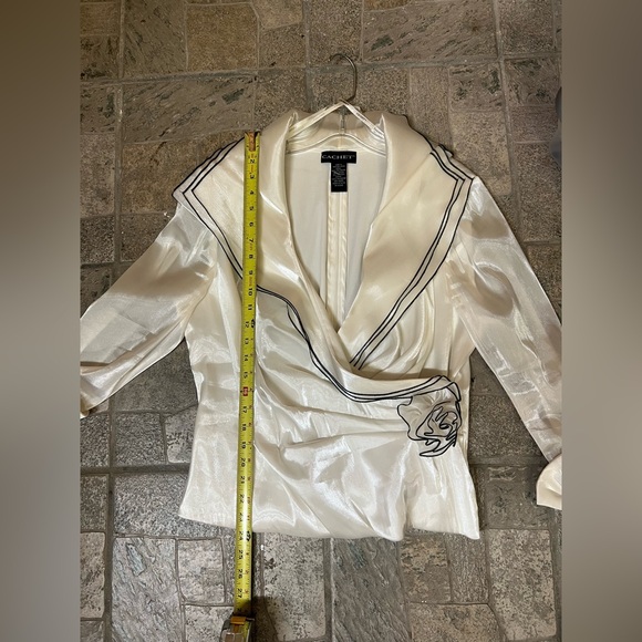 Cachet Vintage woman’s shimmer sheer long sleeve blouse - Picture 5 of 7